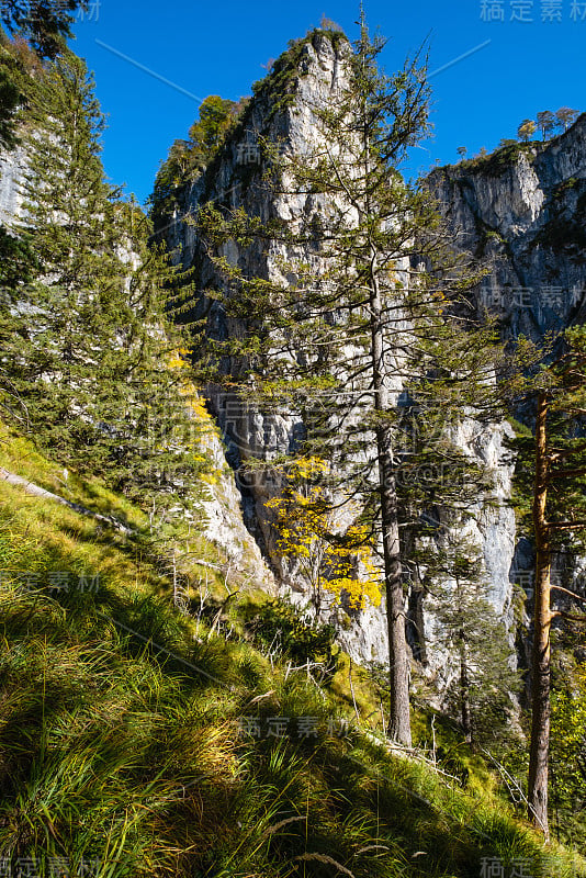 阳光灿烂的高山秋景。上奥地利阿尔姆西湖附近徒步旅行的宁静岩石山景。