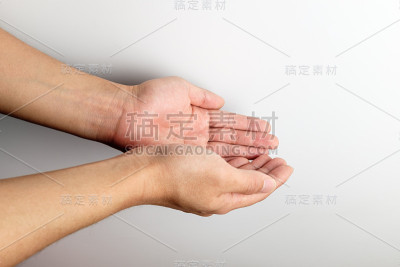 棕榈