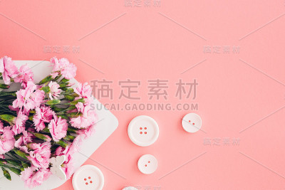 白色信封与粉红色美丽的花在粉红色的背景。你的邮件