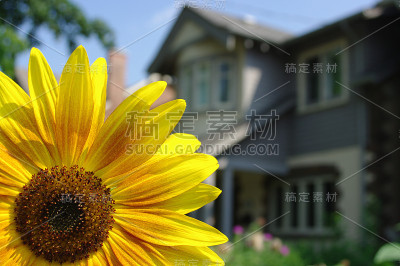 花园