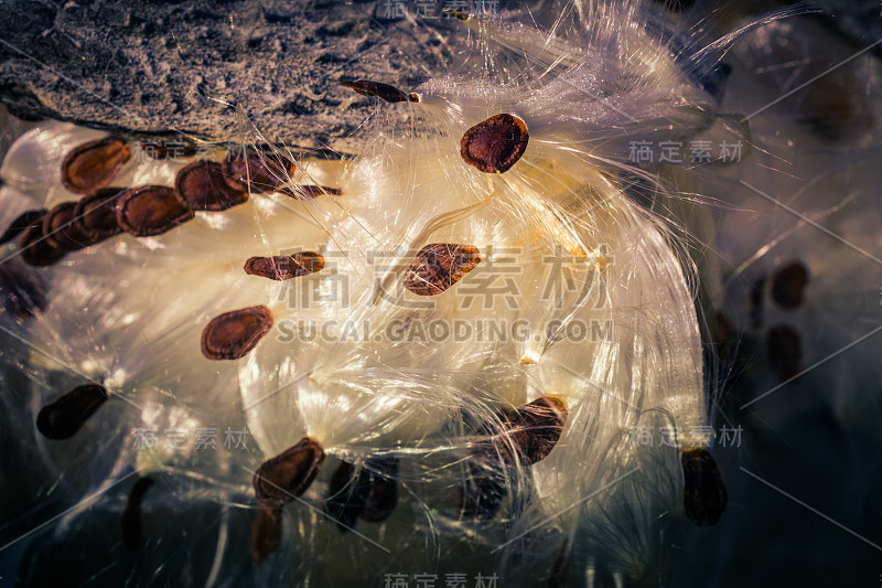春天的大自然