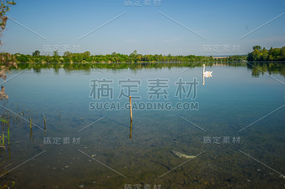 施瓦恩西
