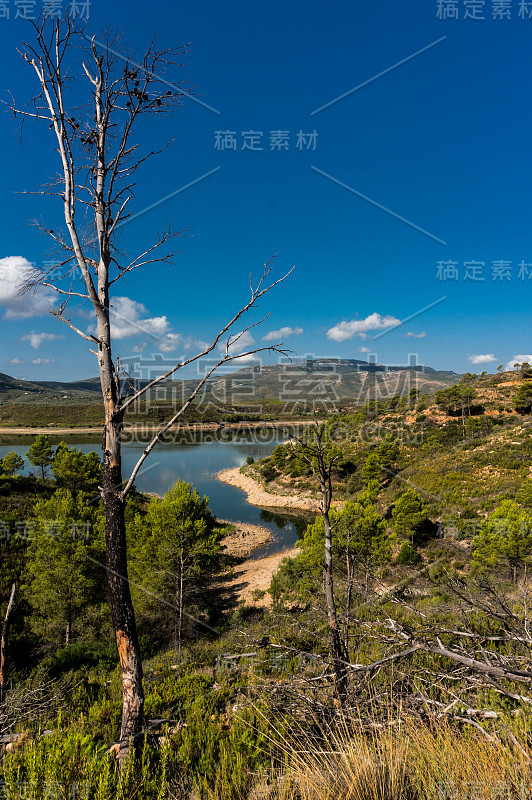 湖边的树，以群山和蓝天为背景