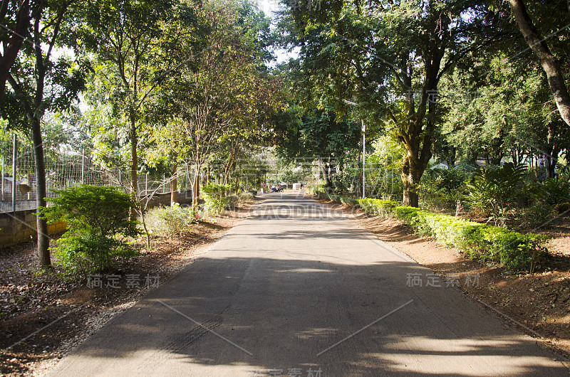 路与树木种植隧道