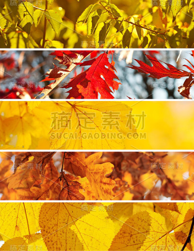 秋季时装