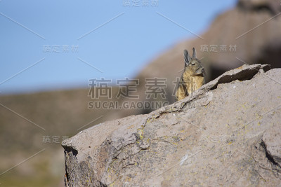 维斯卡查山