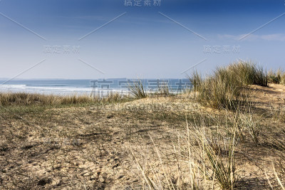 行走的沙丘