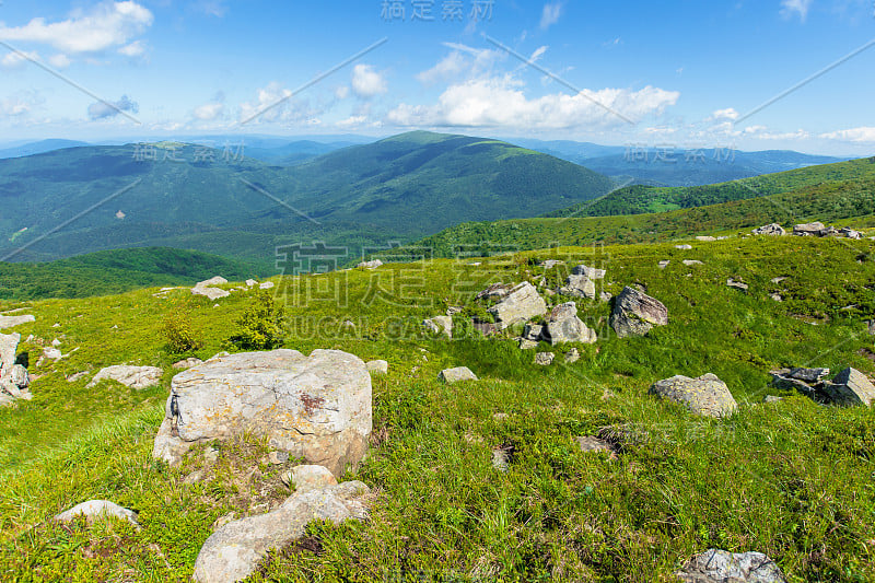 高山草甸上的岩石