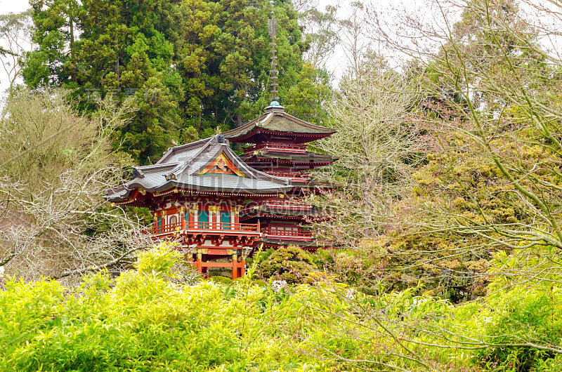 旧金山日本茶园