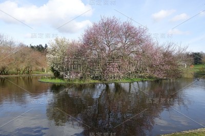 巴黎地区的公园花池花树在水面上的倒影