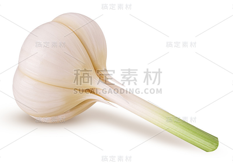 年轻新鲜的大蒜