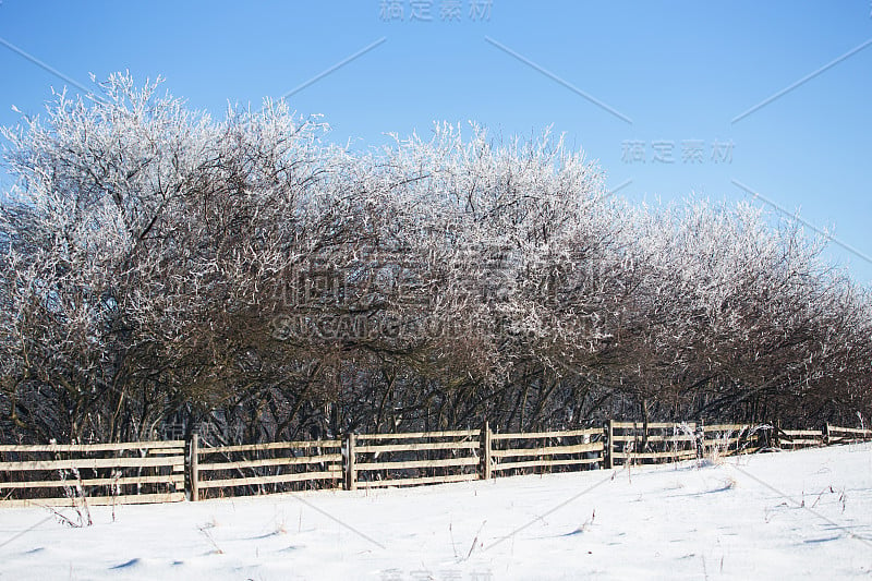 冬季景观dolnoslaskie地区，波兰