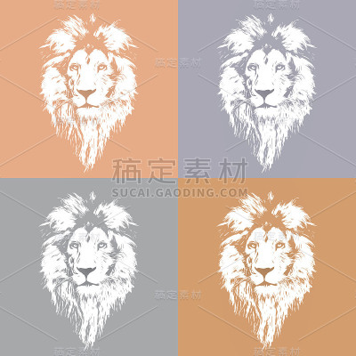 美丽的狮子肖像