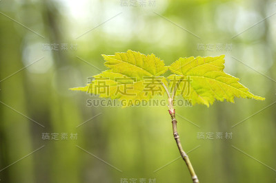 新拍摄