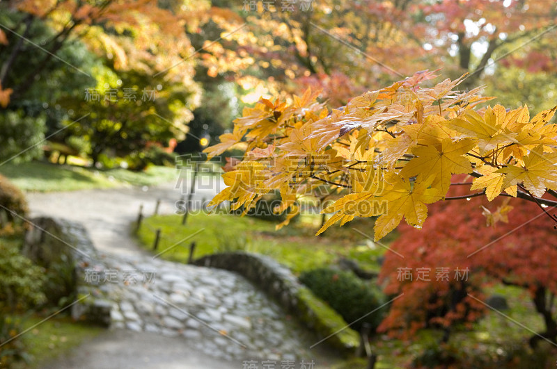 秋天的日本花园