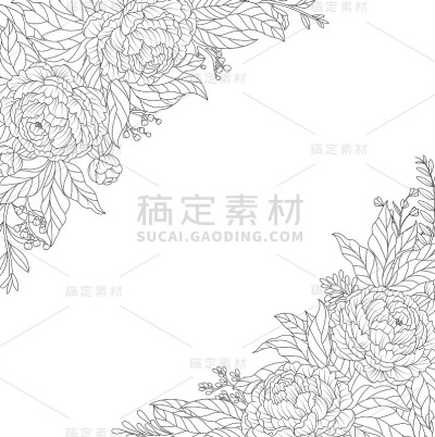 白色背景上的观赏花