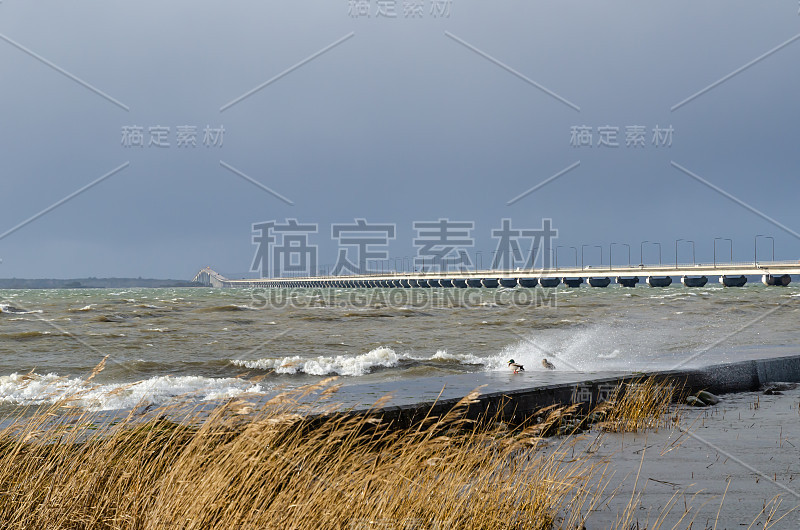 桥边刮风的日子