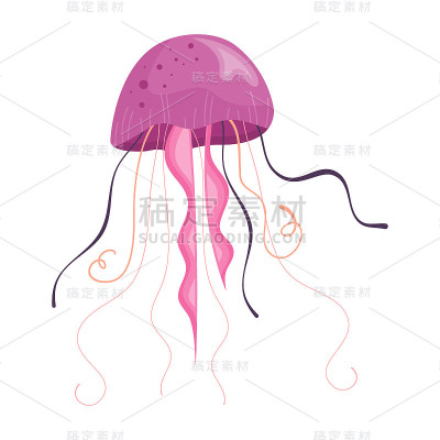 Pink jellyfish with tentacles is isolated on white