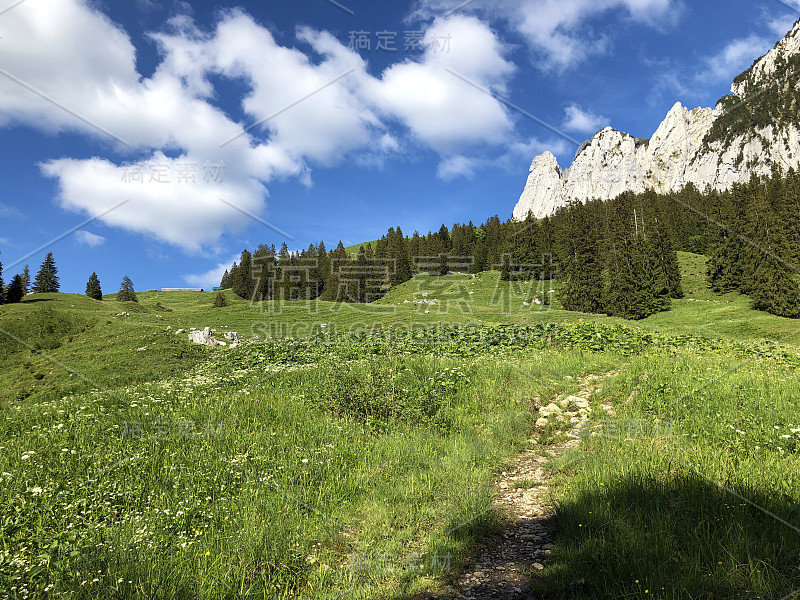 瑞士施维茨州内塔尔的瓦格塔勒尔湖(Waegitalersee)山谷中的高山牧场和草地