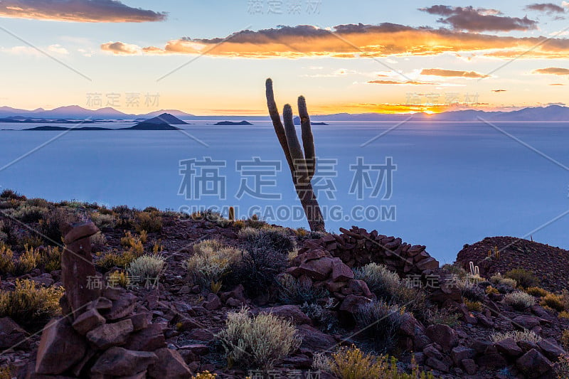 日落仙人掌萨拉德乌尤尼群岛山风景秀丽。