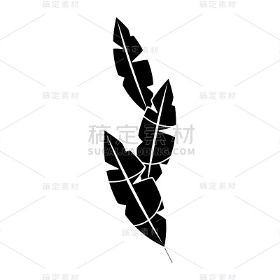 羽毛热带图标形象