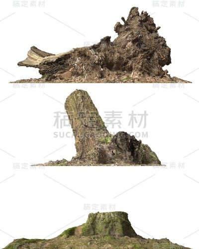 树桩死树孤立的白色3d插图