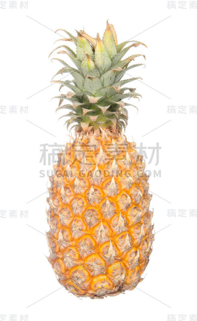分离于白色的菠萝