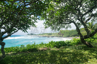 夏威夷毛伊岛哈纳附近的哈莫阿海滩