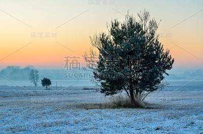 冬天的早晨的风景。