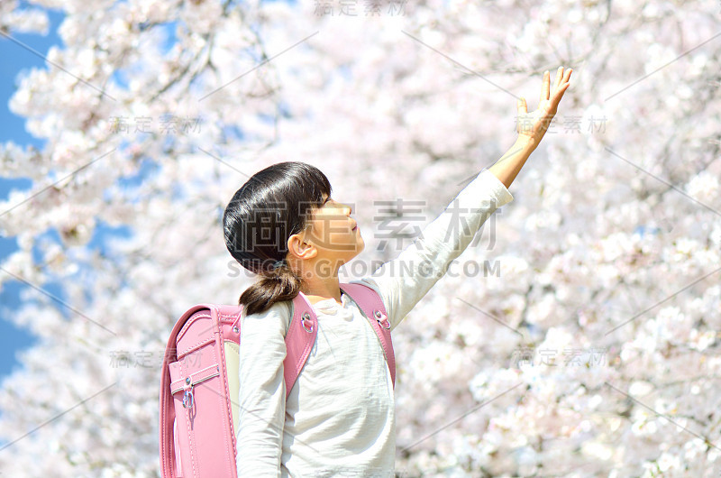 女孩和樱桃树