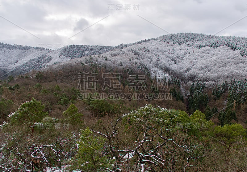 冬天来到了山谷