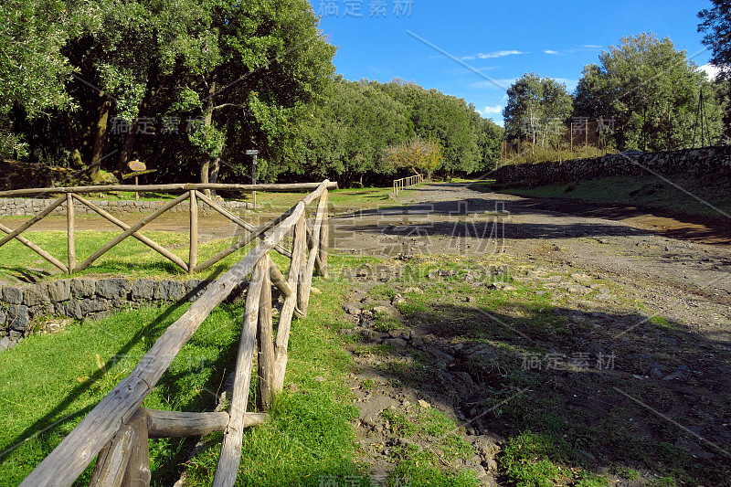 西西里岛埃特纳公园的一片林地里的乡村木栅栏和土路