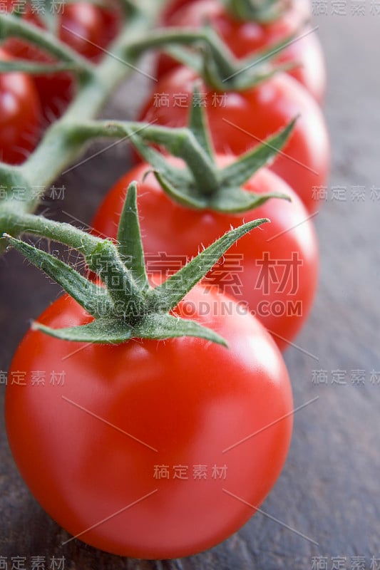 我来到Tomatoes