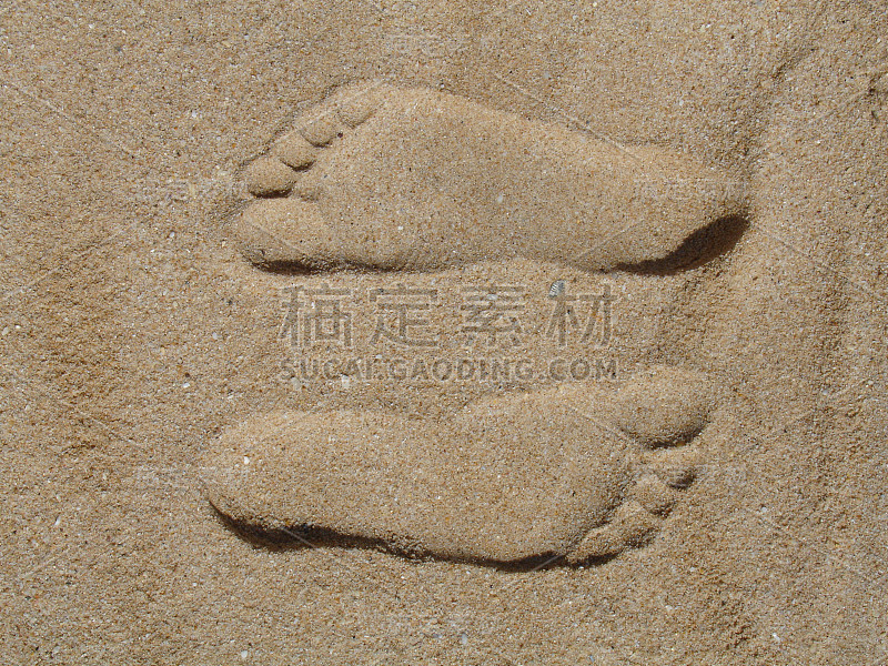 的足迹