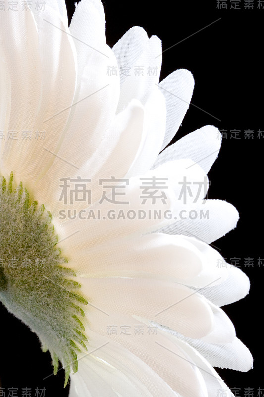 花瓣