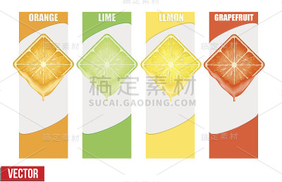 竖条幅水果套方形切片。向量