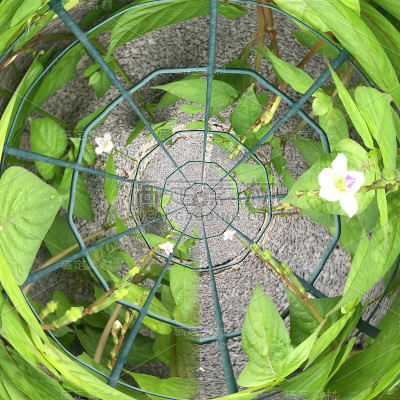 万花筒艺术抽象图案背景