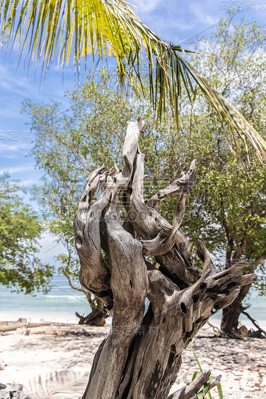 Gili Trawangan