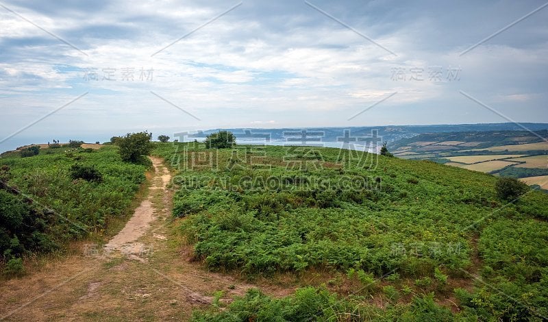 山上的绿色田野，背景是英吉利海峡和英国的乡村。英国多塞特侏罗纪海岸的金冠。