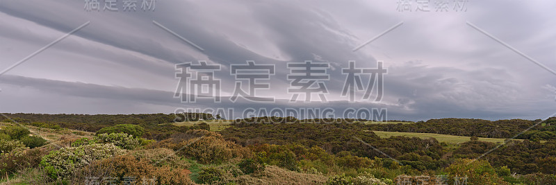 暴风雨的云和灌木