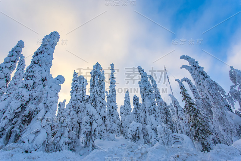 来自芬兰索特卡莫的大雪景观。