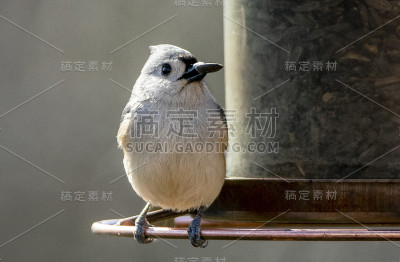 环顾四周