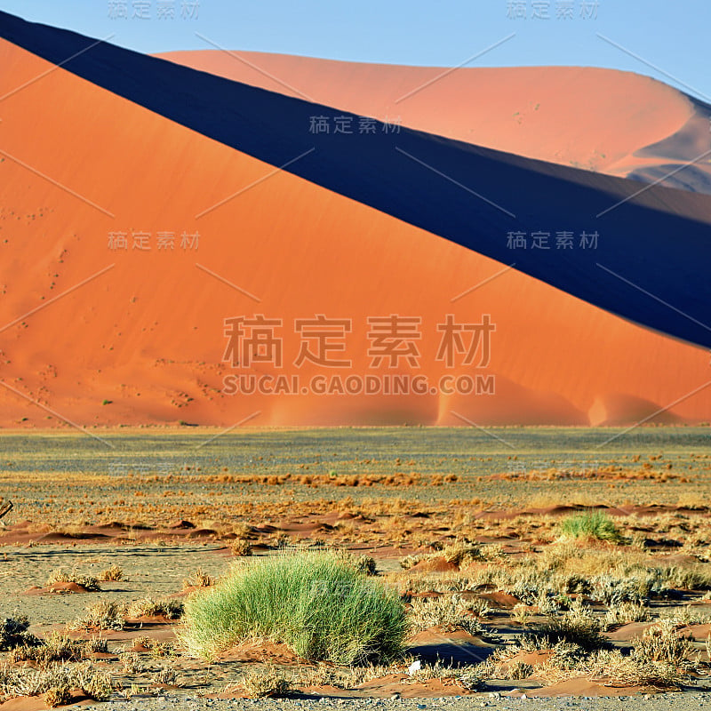 Sossusvlei，纳米比亚Naukluft国家公园，纳米比亚