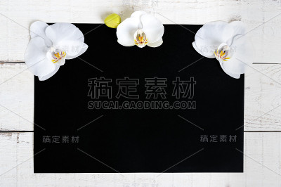 黑色矩形和白色木制背景