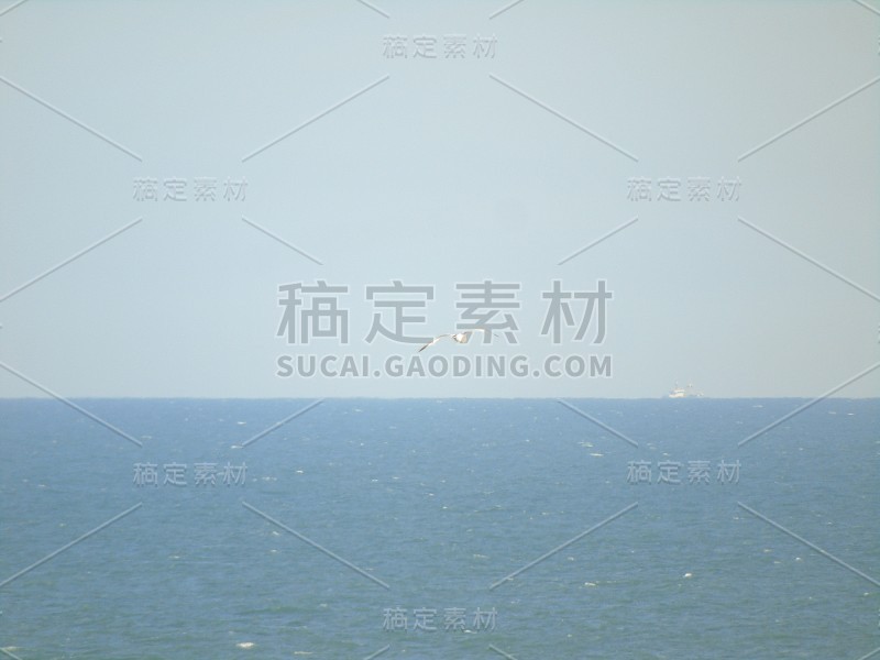 海边的天空和大海在布赖顿与海鸥和船