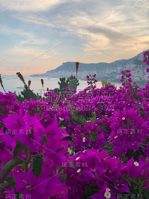 蒙特卡洛海全景