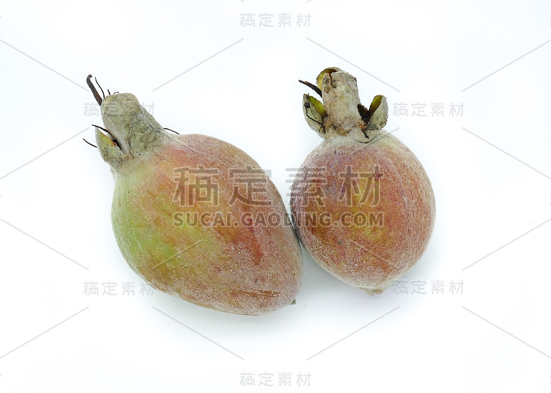 菠萝番石榴果实(Feijoa Sellowiana)孤立于白色