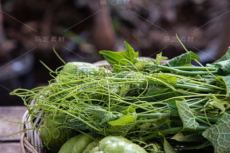 新鲜的竹篮煮青茶。