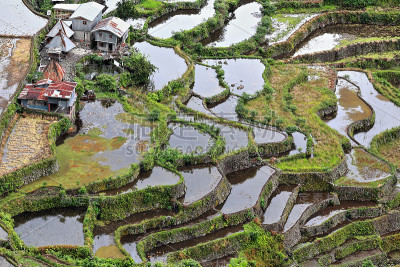 Batad村-从小屋地区看大米梯田。Banaue-Ifugao-Luzon-Phlippines。0