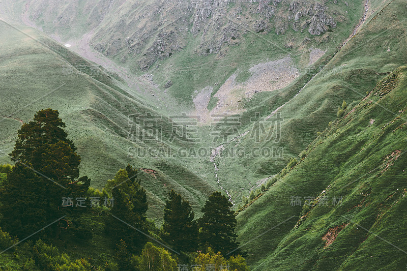 森林和山谷景观旅游鸟瞰图宁静的景色夏季绿色